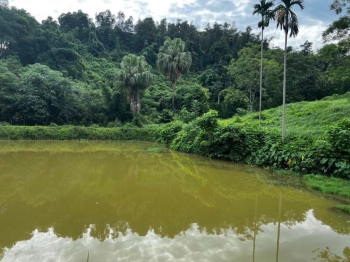 Bán đất nghỉ dưỡng Hoà Sơn Lương Sơn Hoà Bình. 2840m2 bám hồ gần TT Xuân Mai. Giá chỉ 2 tỷ