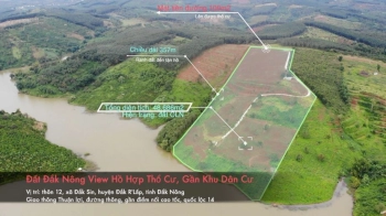 5ha Đất Vườn Đắk Nông hợp thổ cư, view hồ đẹp nhất khu vực, gần điểm nối cao tốc. Giá siêu tốt
