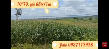 Bán 10m đất Mặt tiền Quốc lộ 14A, xã Ia Le, Gia Lai. Chỉ 65tr/m