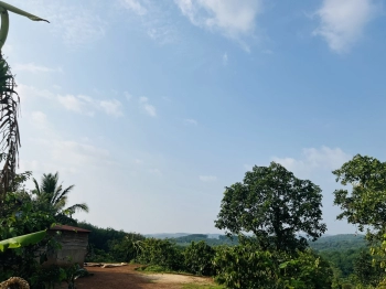 Gia đình muốn bán gấp đất Nông nghiệp ở Xã Đăk Sin – Đăk Nông.