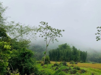 BÁn Đất giá rẻ Ho7500m Bakhan Mai Châu Hoà Bình Phù Hợp Nghỉ dưỡng, Đầu tư Giá rẻ chỉ hơn 300k/m2à Bình chính chủ 1900m có 800tc sẵn nhà, ngay quốc lộ view thoáng