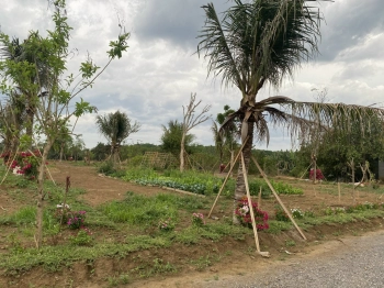 Cọc 200tr để giữ cho mình cơ hội đầu tư với dòng chảy mạnh