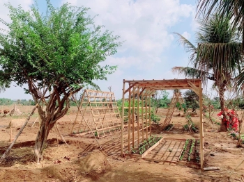 chỉ 990/m2 với 1000m2