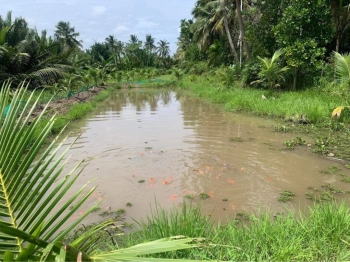 Bán nhà và đất gần Cổ Chiên thích hợp nghỉ dưỡng.