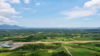 Bán hơn 2 héc ta đất vườn trên núi Cam Hiệp Bắc, view toàn cảnh bãi dài Cam Lâm