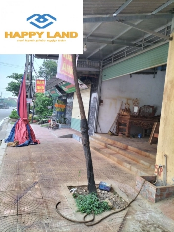 Cần bán cắt lỗ lô đất siêu tiềm năng tại Gia Khánh-Bình Xuyên