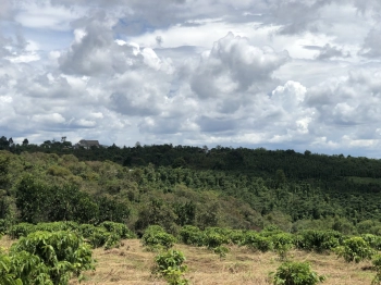 ĐẤT SIÊU ĐẸP, GIÁ SIÊU RẺ, SHR.