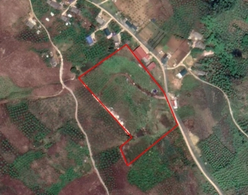 Bán mảnh đất có vị trí vàng hơn 2ha tại Bản Tà Số, chiềng hắc, mộc châu