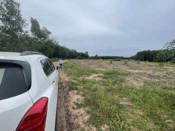 Cần tiền Bán đất nhà vườn giá rẻ đường tân định 61  Dt 12,5x120= 1350m2. Đất bằng phẳng đường xe hơi vào thuận tiện, cách tạo lực 800m gần đường dh430 đi qua. Phù hợp làm nhà vườn, kho xưởng đầu tư chờ đường 430 đang làm hoàn thành)