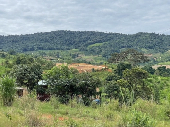 Chủ Kẹt Cần bán 279m2 đất ở Tầm Xá Đông thanh, Gần Thác 7 Tầng