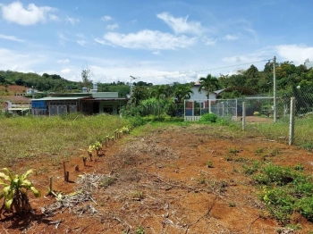 Giá ngộp không thể rẻ hơn 579Tr buông sổ Bảo Lộc