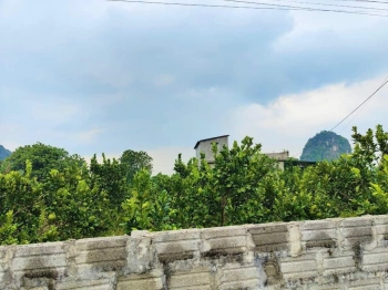 BÁN ĐẤT NINH BÌNH, XÃ QUỲNH LƯU, NHO QUAN, DT 1022 M2 GIÁ 11 TRIỆU.M2