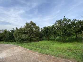 Bán Đất Vườn Cây Ăn Trái Hai Mặt Tiền Chính Chủ, Cách Sân Bay Long Thành 15km. Diện Tích 26.000m2.