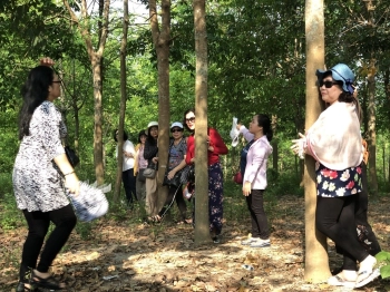 Bán đất nông nghiệp có sổ, 50ha Cao Su Có suối đẹp 