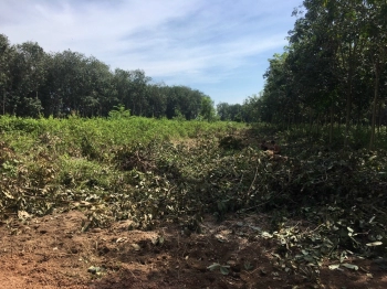 Bán lô đất nằm ngay UBND 1000m2