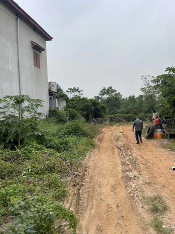 Bán đất 260 m2 khu phân lô gần hồ Đại Lải,  Xã Ngọc Thanh, Thị xã Phúc Yên, Vĩnh Phúc