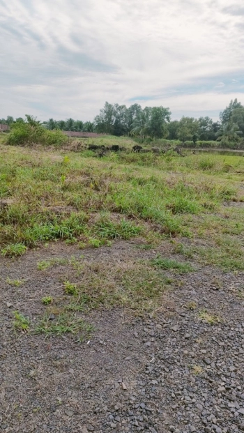 ĐẤT THỊ TRẤN VĨNH AN, MẶT TIỀN ĐƯỜNG ĐOÀN THỊ ĐIỂM. 500TR/520M2