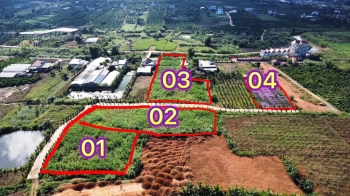 BÁN ĐẤT SÀO THỊ TRẤN,  NAM BAN. LÂM HÀ ,LÂM ĐỒNG  GIÁ RẺ ; 2,4  TỶ / 1624.9 m2