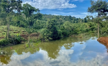 Gần cửa cao tốc Gia Nghĩa - Chơn Thành, bán sào đất chỉ 290 triệu