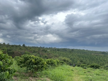 Cần bán lô đất vườn tại Quảng Tân, Giá chỉ 315 triệu đồng.