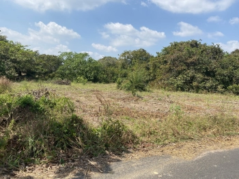 BÁN ĐẤT XÃ BƯNG RIỀNG HUYỆN XUYÊN MỘC - BRVT, DIỆN TÍCH 1.222M2 GIÁ 1 TỶ 8