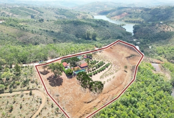 Đất TTTP Gia Nghĩa, Hơn 2000m2 chỉ 15tr - 30tr/m ngang