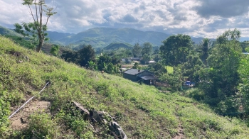 Cần Bán đất diện tích 1,180m2  giá 1.2 Tỷ tại Ba Cụm Bắc ,Khánh Sơn ,Khánh Hòa