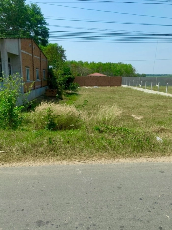 Cần tiền gấp bán lô MTĐ 609m2 giá chốt 455tr Châu Thành Tây Ninh