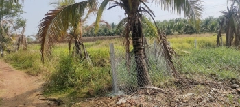 CHỦ NGỘP BÁN GẤP 1,5 SÀO ĐẤT VƯỜN GIÁ CHỈ 1,3 TỶ