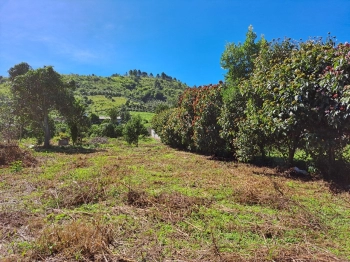 ĐẤT MUA HƠN NĂM RỒI GỒNG LÃI NẶNG QUÁ CẦN BÁN GẤP