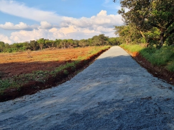 ĐẤT ĐẦU TƯ NÔNG NGHIỆP PHÚ RIỀNG - BÌNHG PHƯỚC