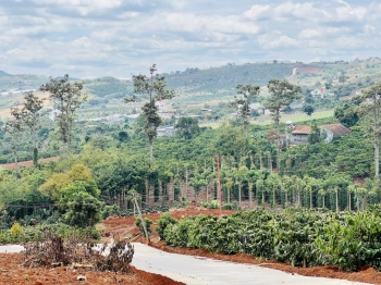 ĐẤT VEN ĐÀ LẠT, VIEW CỰC CHILL TOÀN TT NAM  BAN