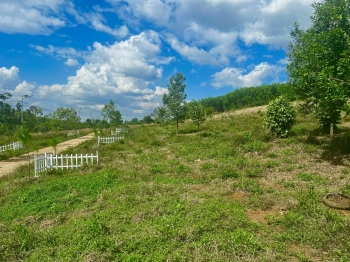 Đất sổ hồng riêng. Giá chỉ từ 240tr/1000m2. QH thổ cư. Kiến Đức - Đắk Nông