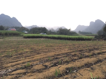 bán lô đất 3770m2 có suối chạy quanh đất tại kim bôi, hòa bình