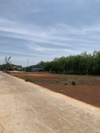 Đất nền 226m2 thổ cư SHR Long Hà Phú Riềng BP 570 triệu