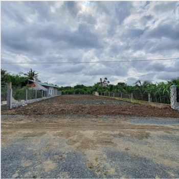 CẦN TIÊN NUÔI HEO BÁN GẤP LÔ ĐẤT NGAY THỊ XÃ 50X45=2250M2 ĐƯỜNG NHỰA GIÁ 60TR