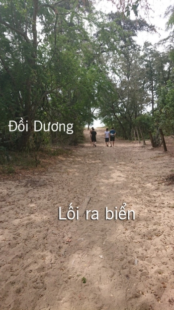 Bán đất thổ ngay sau Đồi Dương mặt tiền QL.Sổ hồng.116m2