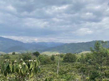 kẹt bán gấp chỉ 360tr nguyên lô, tân thượng, di linh, Mt đường oto, sổ sẵn. sổ sẵn