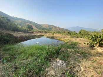 Chính chủ bán 5100m2 đất Di Linh 360tr/sào.Mt đường bê tông, View đẹp, SHR. LH: 0977846738