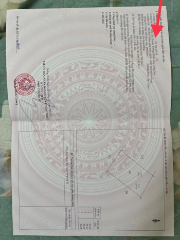 Bán 1000m2 đất full hồng,Ngay đường DT769 Hưng Lộc-Thống Nhất.Giá ngôp chỉ còn 2,7 tỷ.LH:0907215279  