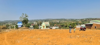 Bán 2 sào tặng hơn 1 sào đất ( chính chủ )