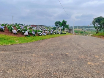Đất nền giá rẻ gần trung tâm Bảo lộc sẵn sổ từng nền chỉ từ 980 triệu công chứng sang tên ngay