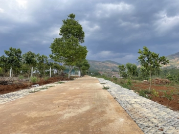 Đất thổ cư trung tâm thị trấn Nam Ban view thung lũng đồi hoa