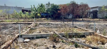 Đất mặt tiền tiện kinh doanh, gần chợ, gần 3KCN, buôn bán, DT 5*20m, Giá 490tr