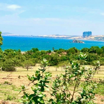 Đất View Biển Xanh Ngát 350 triệu 1 sào 1000m2 đường xe hơi quay đầu