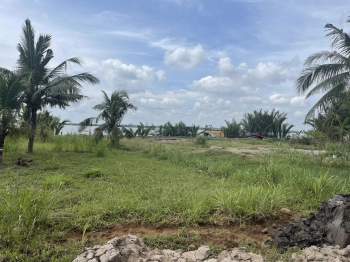 Bán đấu giá tài sản tại Thạnh Phú Bến Tre