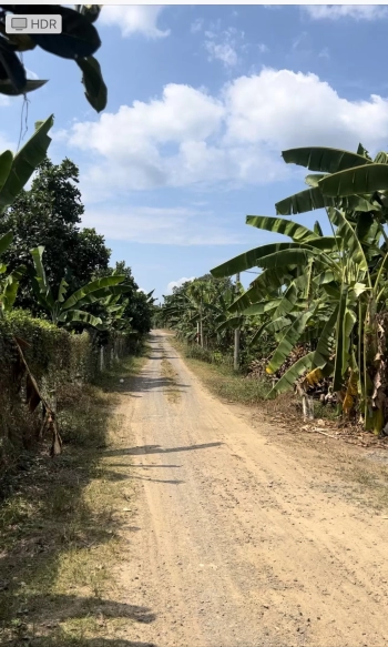 Cần bán 5 sổ hồng riêng đất CLN thuộc Xã phú lợi, Huyện Định Quán, Đồng Nai