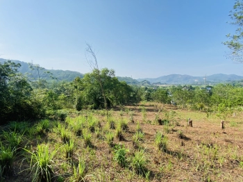 BÁN GẤP LÔ ĐẤT VIEW CÁNH ĐỒNG TRIỆU ĐÔ CHỈ CÁCH ĐƯỜNG CAO TỐC CÓ 500m