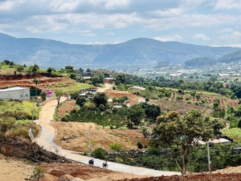 Trao tay chủ mới, lô đất 1045m2 có 200m2 thổ tại kdc hiện hữu