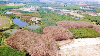 1600m2 mt hơn 80m Phú Ngọc đường ô tô giá 790tr